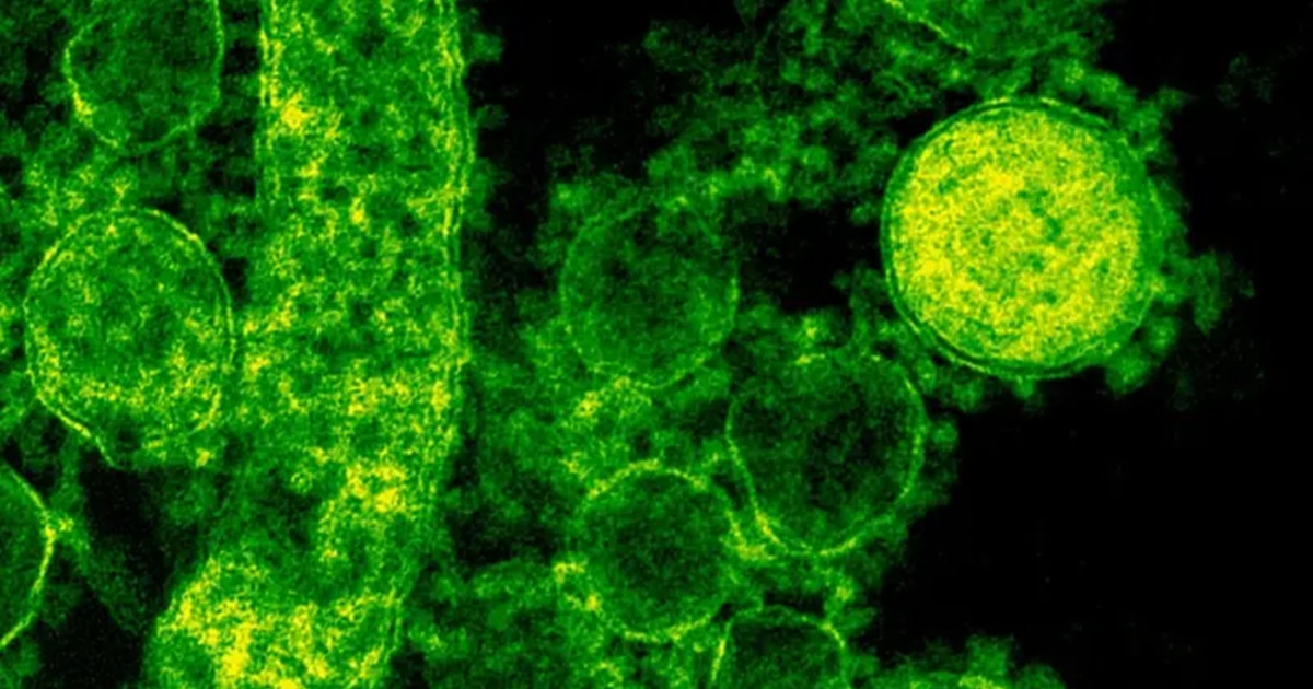 Three HMPV Virus Cases Detected In India